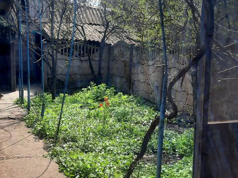 дом по адресу Дежнёва ул., 12