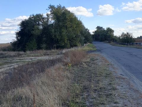 ділянка за адресою Лісова