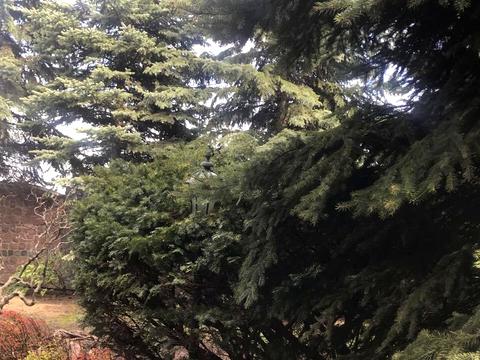 будинок за адресою Деметра
