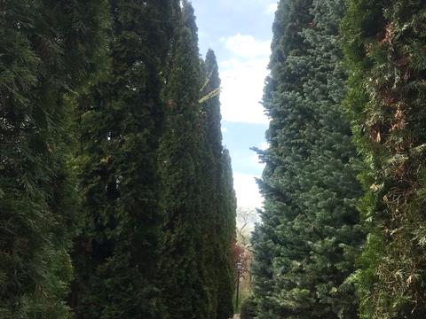 будинок за адресою Деметра