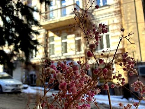 квартира по адресу Малоподвальная ул., 4
