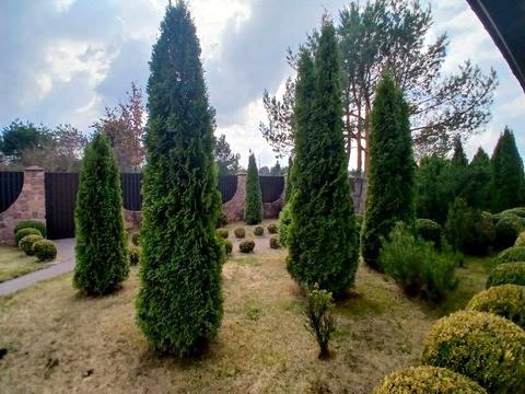 дом по адресу с. Дзвонковое, Березова, 6