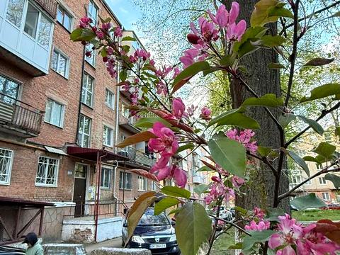 квартира за адресою Генерала Безручка вул., 12