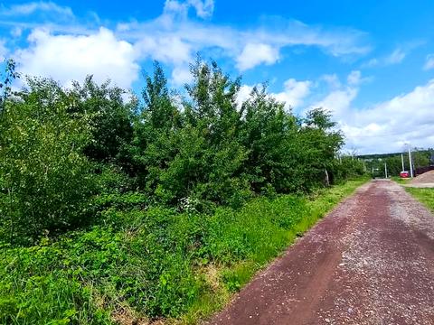 ділянка за адресою Виноградна