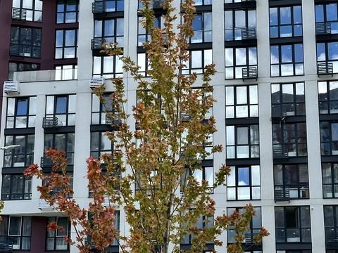 квартира по адресу Полковая ул., 65