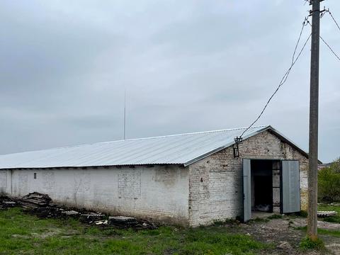 комерційна за адресою ШЕВЧЕНКА, 141