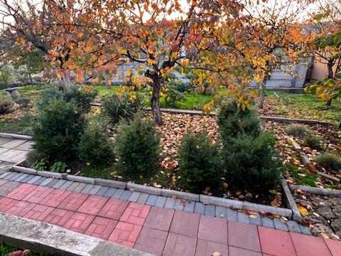 будинок за адресою Сухой лискн