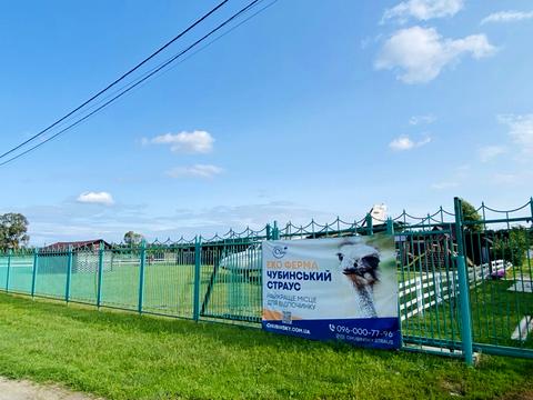 будинок за адресою с. Мала Олександрівка, Митна