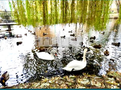 квартира за адресою Київ, Вишгородська вул., 45/2