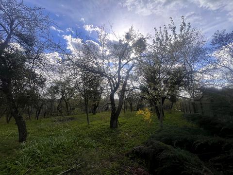 участок по адресу Урочище клепарів
