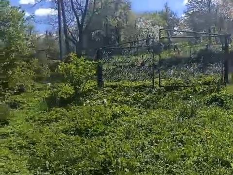 участок по адресу 
