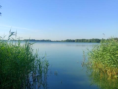 квартира по адресу Ревуцкого ул., 54