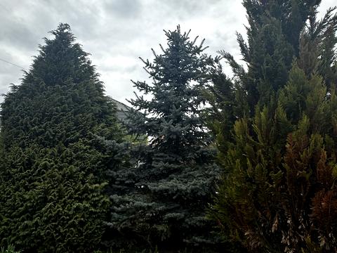 дом по адресу Ивана Руденко ул., 17