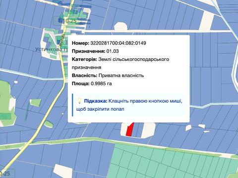 участок по адресу с. Борщев, 