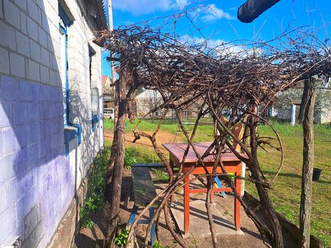 дом по адресу Вишнева, 13