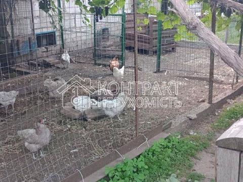 будинок за адресою Базавлуцька вул. (Вешенська), 66