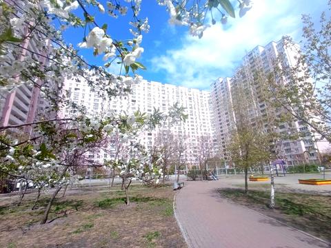 квартира за адресою Олени Пчілки вул., 2-Б