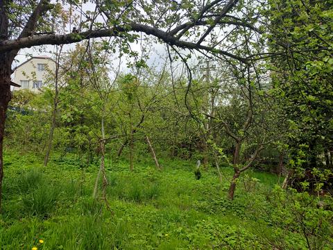 будинок за адресою с. Бережани, Долинівка, 42