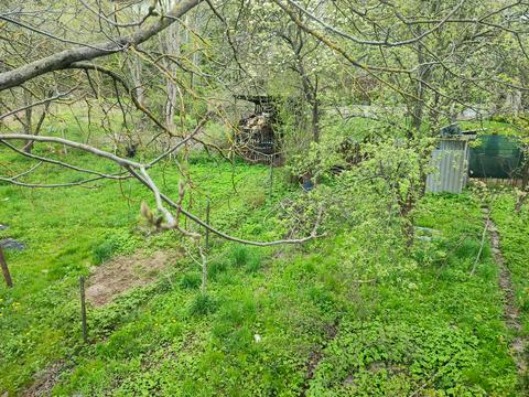 будинок за адресою с. Бережани, Долинівка, 42