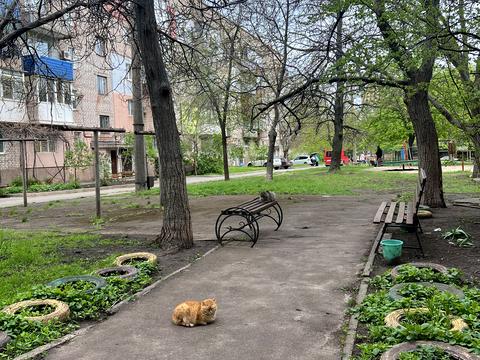 квартира за адресою Наталії Кобринської вул. (Грицевця), 1