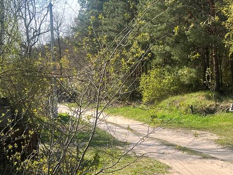 дом по адресу Лісова, 17