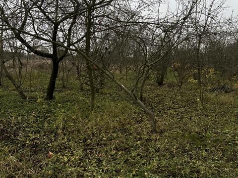 дом по адресу Гагарина ул., 26