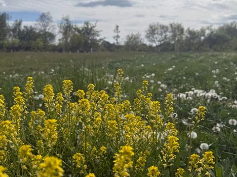 будинок за адресою Лісна
