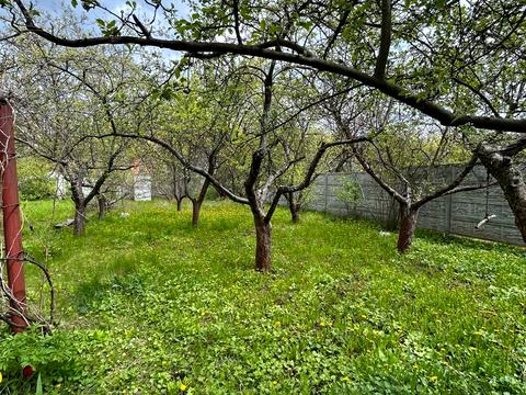 будинок за адресою с. Новоселівка, Центральна, 66