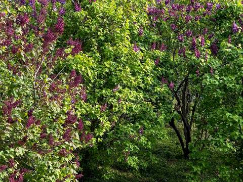 квартира по адресу Бастионная ул., 13