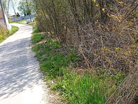 участок по адресу Радгоспна 11