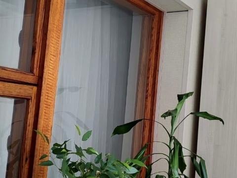 квартира за адресою Чарівна вул., 107