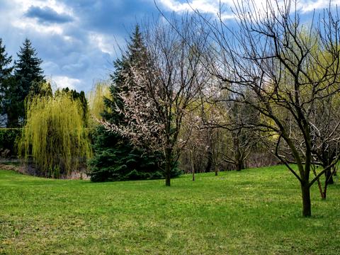 ділянка за адресою Старокиївська вул., 8