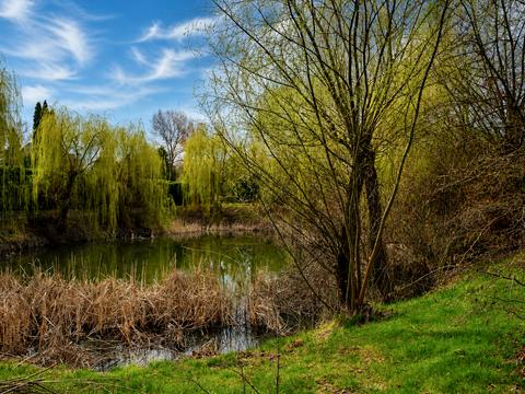 ділянка за адресою Старокиївська вул., 8