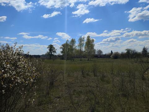 ділянка за адресою Злагоди, 16