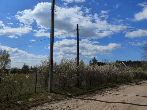 ділянка за адресою Злагоди, 16