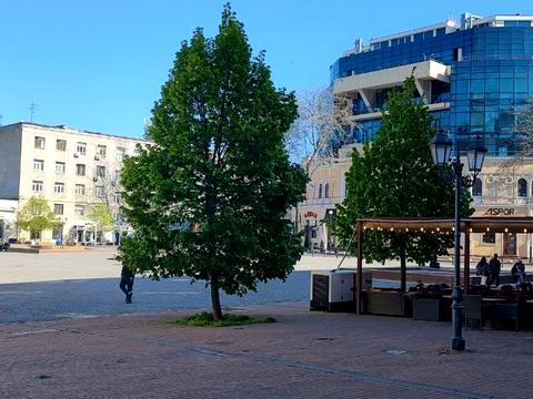 комерційна за адресою Грецька пл., 3