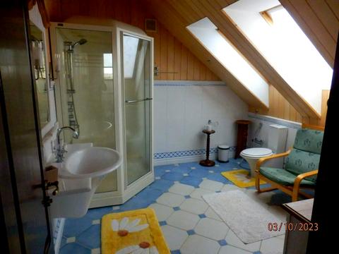 будинок за адресою с. Великі Дмитровичі, Польова, 212