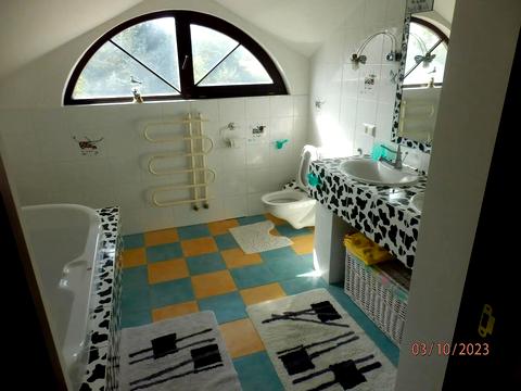 будинок за адресою с. Великі Дмитровичі, Польова, 212