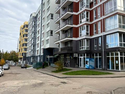 комерційна за адресою Володимира Великого вул., 3
