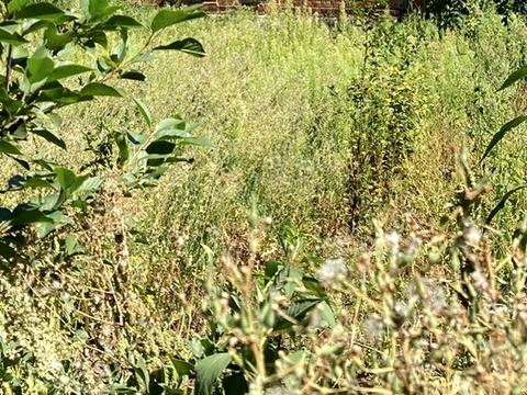 будинок за адресою Зеленый првулок, 22
