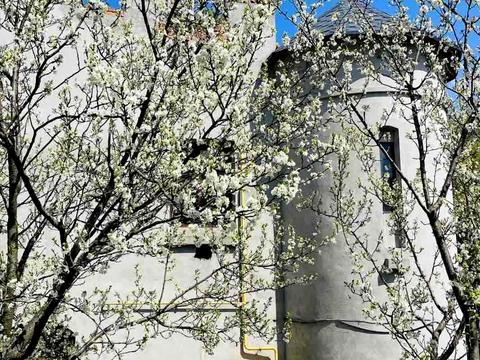 комерційна за адресою Лісова, 1