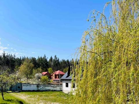 комерційна за адресою Лісова, 1