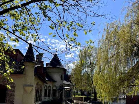 комерційна за адресою Лісова, 1