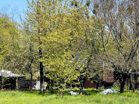 комерційна за адресою Лісова, 1