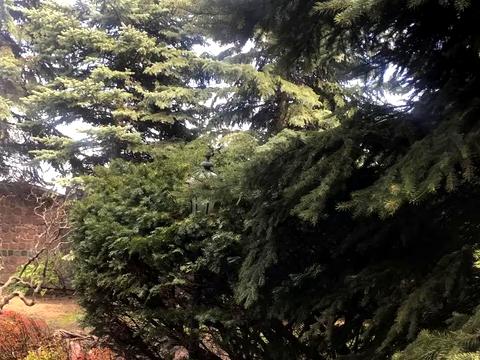 будинок за адресою Деметра вул.