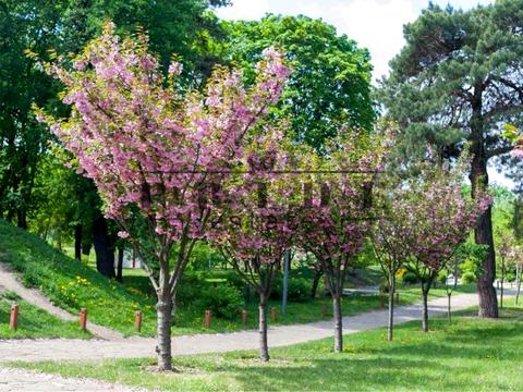 комерційна за адресою Кубанської України вул. (Маршала Жукова), 29