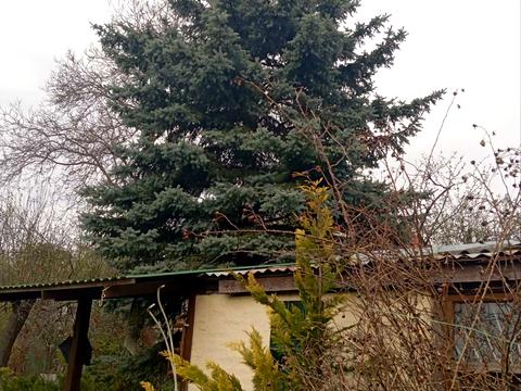 ділянка за адресою Івана Виговського вул. (Маршала Гречка)