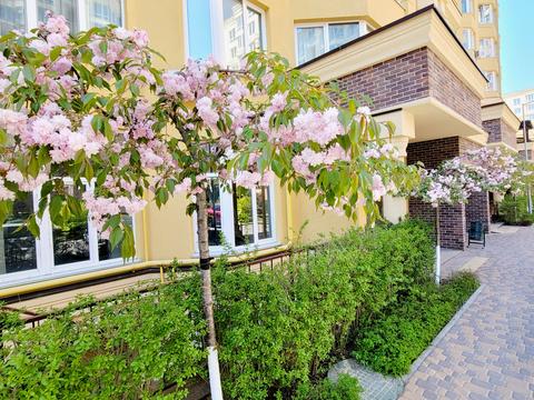 квартира за адресою Клубна вул., 12-А