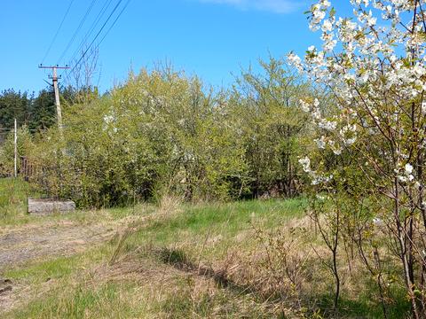 ділянка за адресою Лісова вул., 4