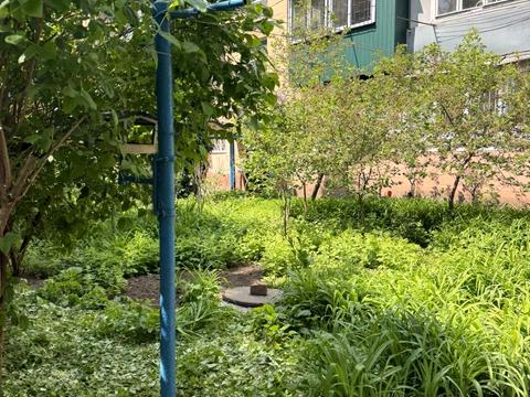 квартира по адресу Генерала Петрова ул. (Генерала Петрова), 33